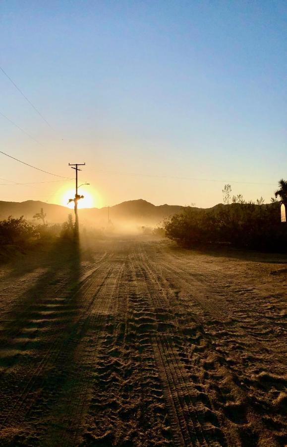 Popular Homestead! Location, Stargaze, Views! جوشوا تري المظهر الخارجي الصورة