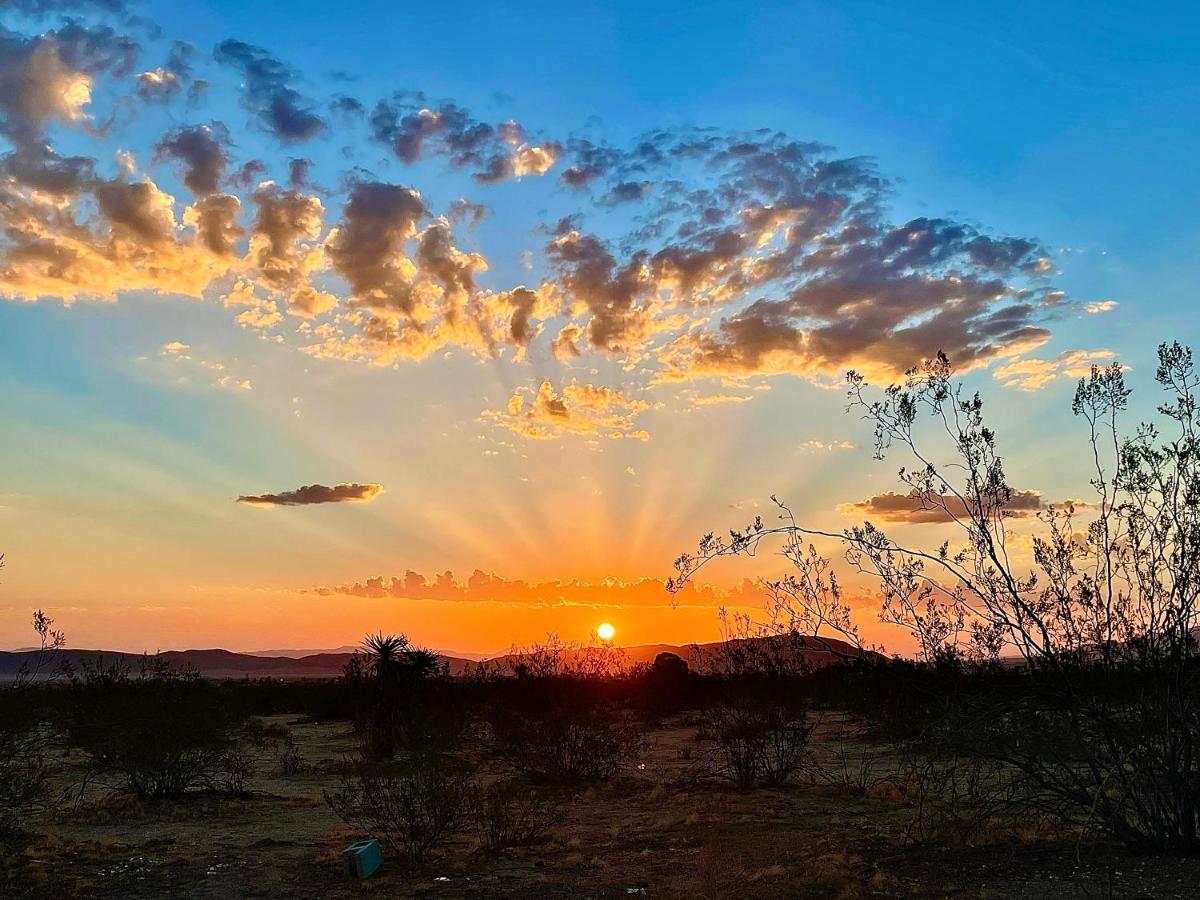 Popular Homestead! Location, Stargaze, Views! جوشوا تري المظهر الخارجي الصورة
