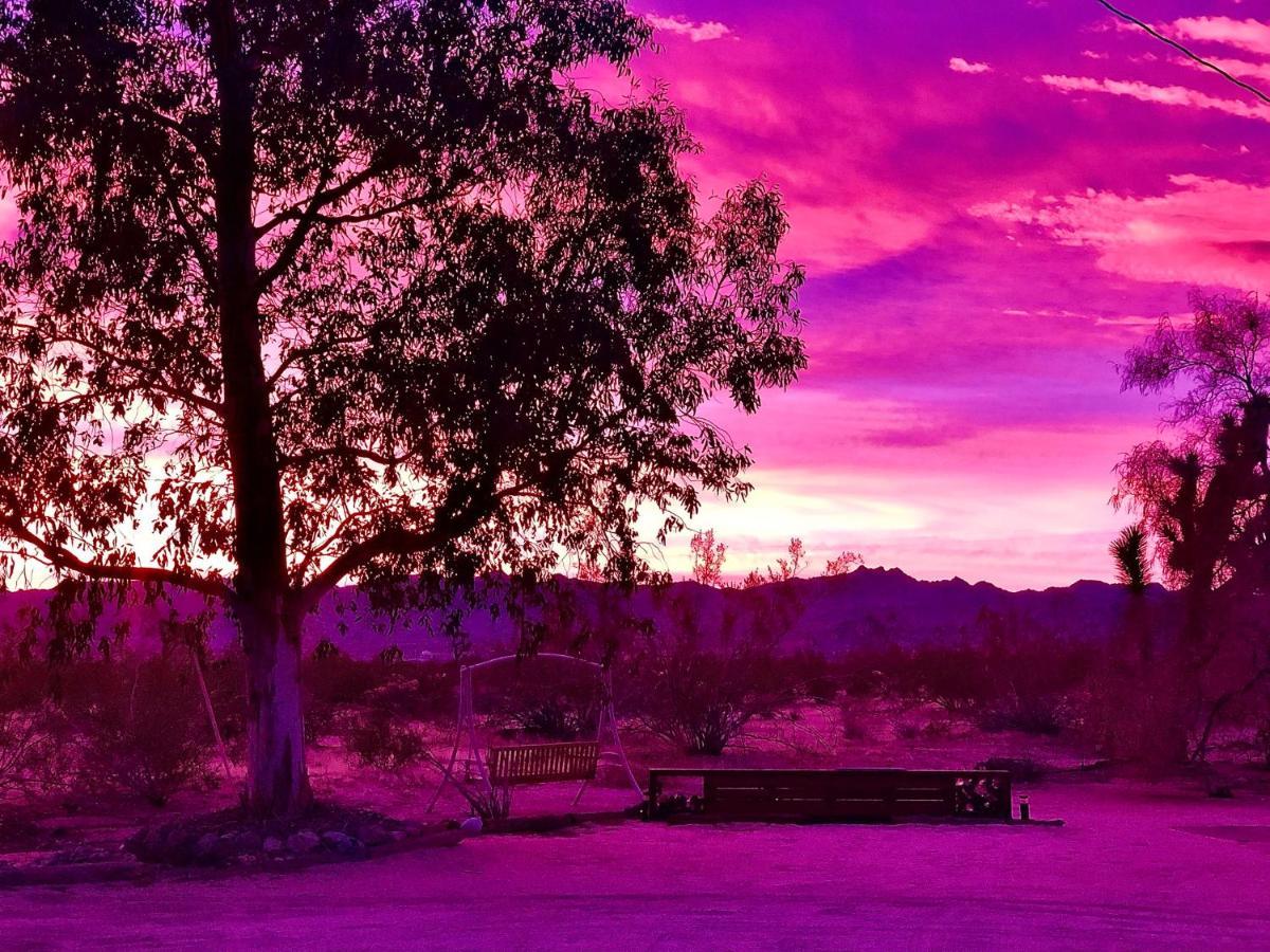 Popular Homestead! Location, Stargaze, Views! جوشوا تري المظهر الخارجي الصورة
