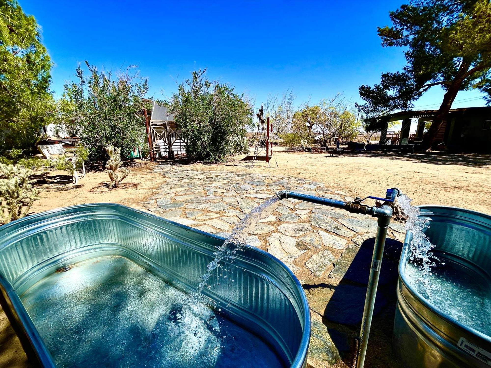 Popular Homestead! Location, Stargaze, Views! جوشوا تري المظهر الخارجي الصورة